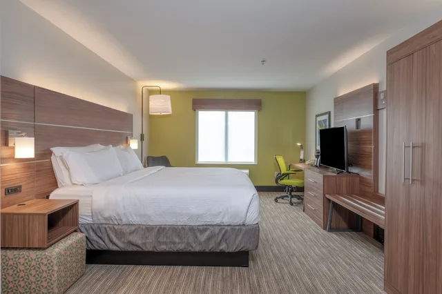 غرفة قياسية بسرير كينج مع أريكة، Holiday Inn Express Suites Thornburg S Fredericksburg 1/2
