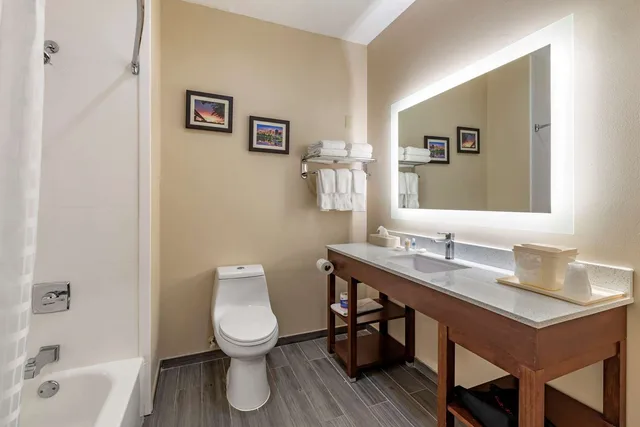 جناح بسرير كينج، Comfort Suites West Memphis 3/3