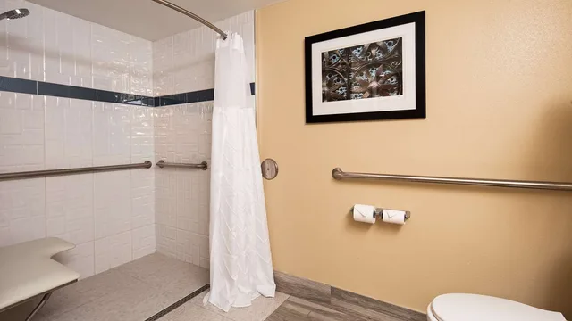 Room, King Bed, Accessible, Best Western Plus Anaheim Orange County Hotel 5/5