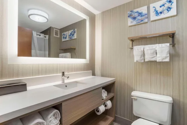 جناح بسرير مزدوج، Comfort Suites At WestGate Mall 4/4