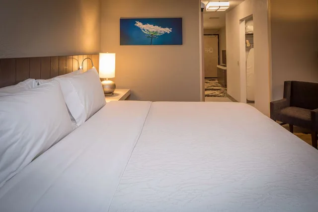 Junior Suite, King Bed, Sofa, HILTON GARDEN INN PITTSBURGH AIRPORT 2/5