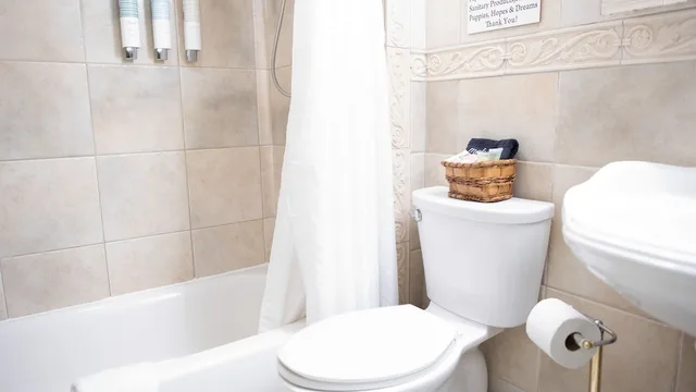 Star, Superior, Apartment, King Bed, Garden View, Kitchen، Meranova Guest Inn 1/2