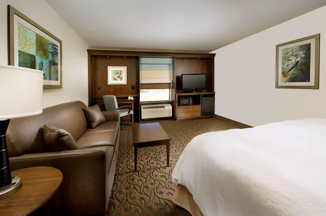 استوديو بسرير كينج، Hampton Inn Pampa 1/2
