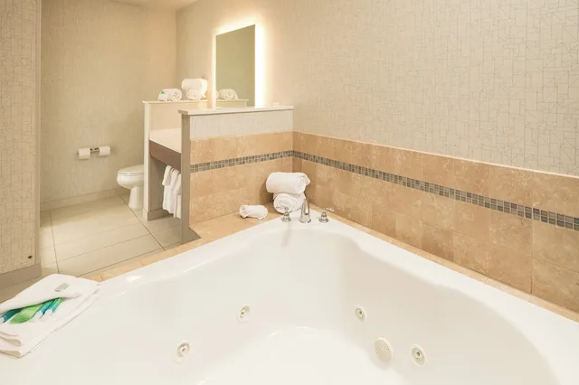 جناح بسرير كينج لذوي الإعاقة، Holiday Inn Express And Suites Portage 2/2