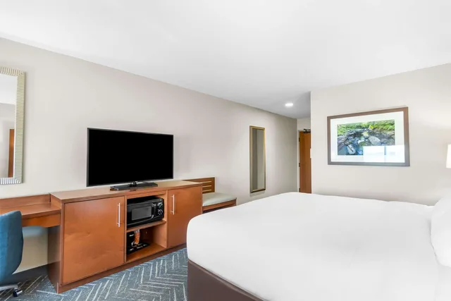 غرفة بسرير كينج، Comfort Inn and Suites Mountain Iron And Virginia 3/4