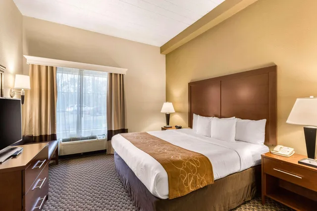 جناح، Comfort Suites Elkridge Columbia Gateway 1/4