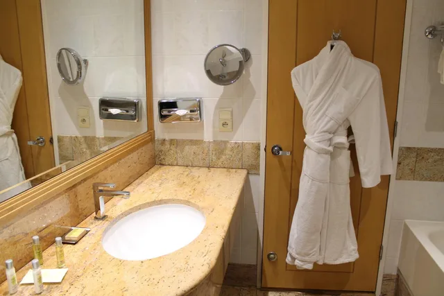 غرفة تنفيذية مفردة، Hilton Paris Charles De Gaulle Airport 15/16
