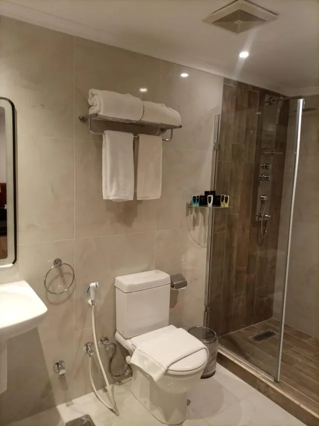 غرفة قياسية بسرير مزدوج أو سريرين منفصلين، Golden Park Hotel Cairo Heliopolis 7/8