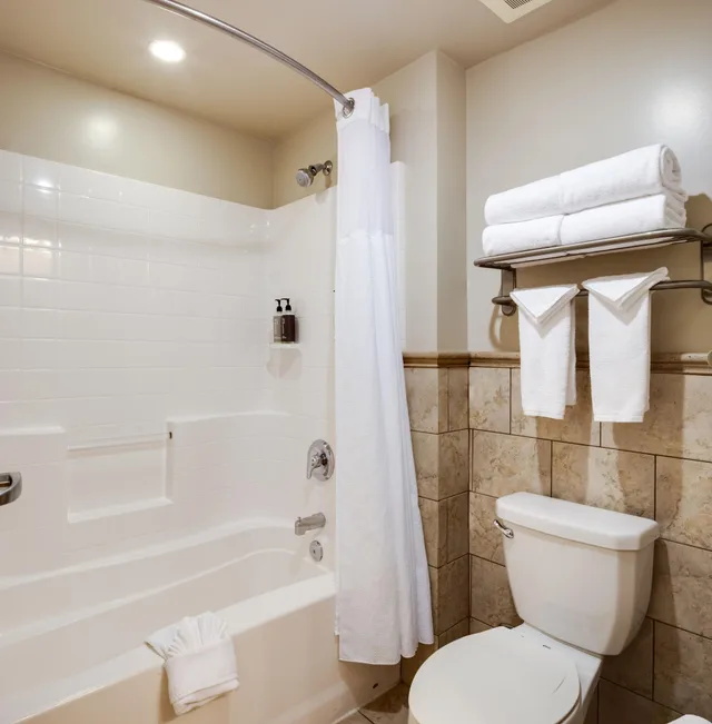 Studio, Suite, Multiple Beds، Ayres Hotel & Spa Mission Viejo 3/4