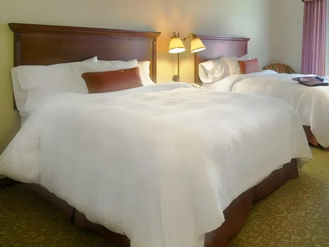 جناح بسريرين كوين مع أريكة لذوي الإعاقة، Hampton Inn Suites Lodi 4/5