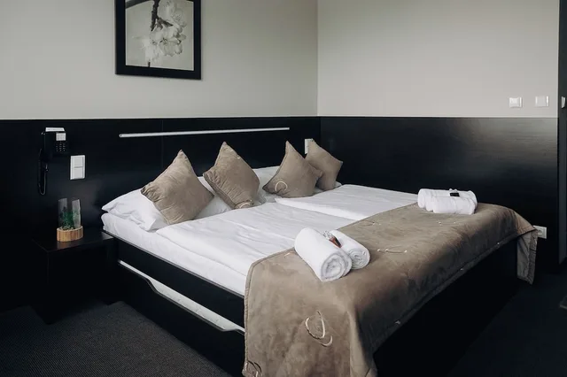 غرفة اقتصادية بسرير مزدوج أو سريرين منفصلين، Interhotel Tatra 2/4