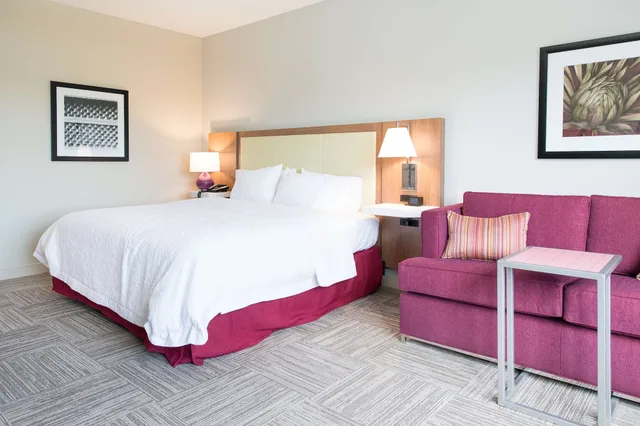 استوديو بسرير كينج مع أريكة لذوي الإعاقة، Hampton Inn & Suites Fayetteville 2/10