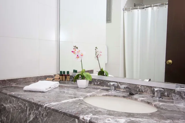 غرفة أساسية بسريرين مزدوجين، Hotel Valle de Mexico Toreo 3/3