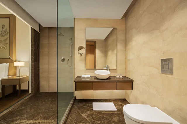 جناح بسرير كينج، Radisson Blu Hotel, New Delhi Dwarka 7/10