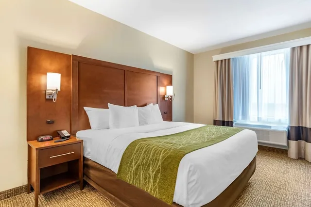 جناح بسرير كينج مع أريكة لذوي الإعاقة، Comfort Suites San Antonio Ft. Sam Houston/SAMMC Area 1/2