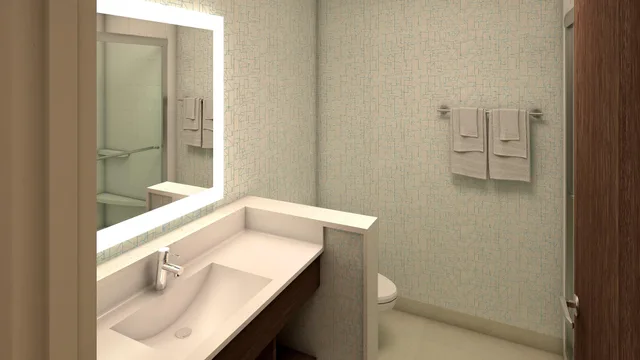 غرفة قياسية بسرير مزدوج، HOLIDAY INN EXPRESS & SUITES NORTH BRUNSWICK 4/4
