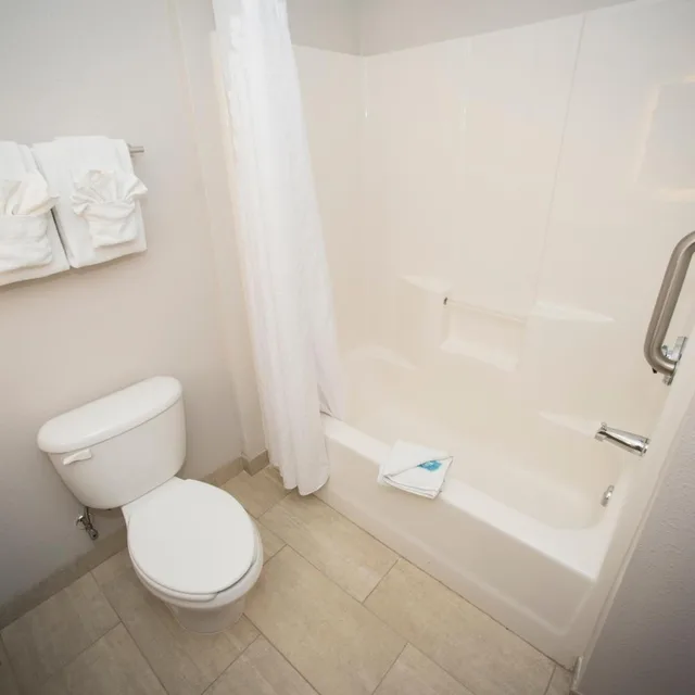 Standard, Double Bed, Holiday Inn Express Hotel And Suites Lexington Downtown University 1/1