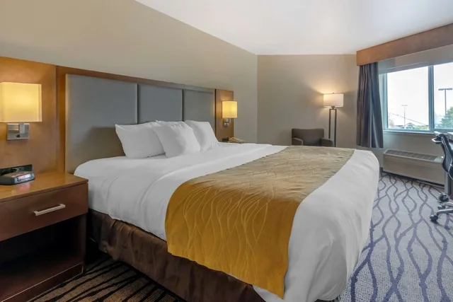 غرفة قياسية بسرير كينج، Comfort Inn and Suites Market Airport 1/3