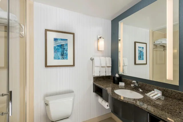 غرفة بسرير كينج، Hilton Garden Inn Silver Spring White Oak 3/4
