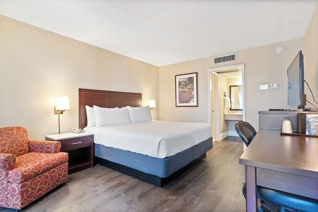غرفة قياسية بسرير كينج، Vagabond Inn Executive San Francisco Airport 1/7