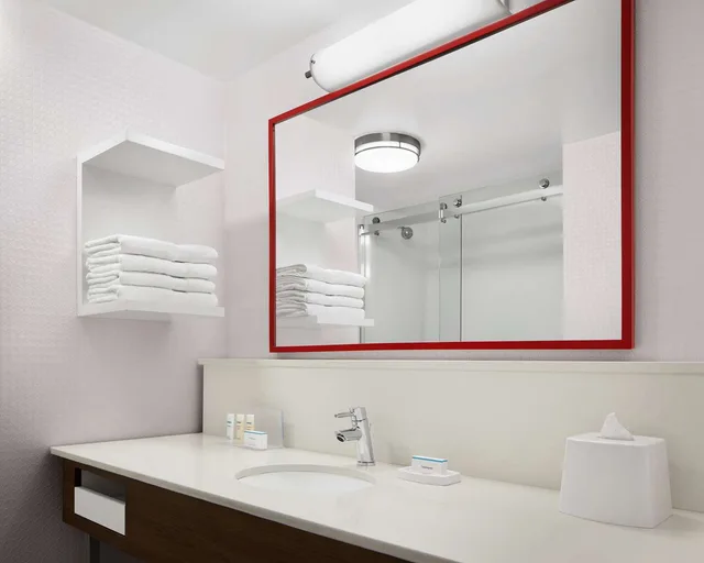 جناح استوديو بسرير كينج لذوي الإعاقة، Hampton Inn and Suites Charlotte Steele Creek Road 2/2