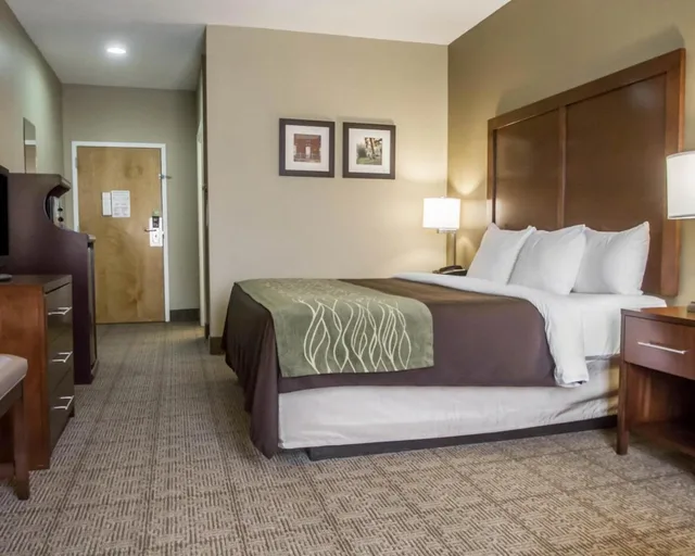 Room, King Bed, Accessible, Comfort Inn Amite City 1/6