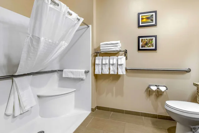 جناح بسرير كينج مع أريكة لذوي الإعاقة، Comfort Inn and Suites Davenport Quad Cities 4/4