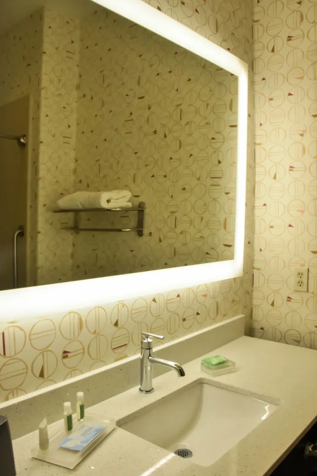 Suite, King Bed, Accessible, Holiday Inn Brownsville 1/1
