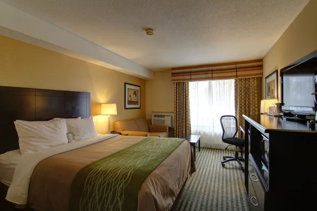 غرفة قياسية بسرير كينج في الطابق الأرضي، Comfort Inn Chatham 1/10