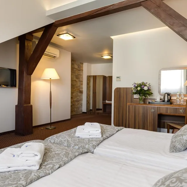 غرفة بسرير مزدوج أو سريرين منفصلين، Wit Stwosz Hotel 9/10