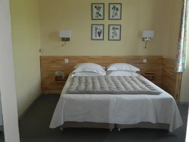 Standard, Double Bed, Grand Hotel Moriaz 1/3