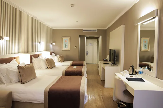 Room, Triple, 1 Double and 1 Single Bed, Murphy Bed, Byotell Hotel Istanbul 5/10