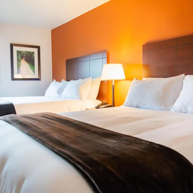 غرفة بسرير مزدوج، My Place Hotel-Kansas City/Independence Mo 1/10