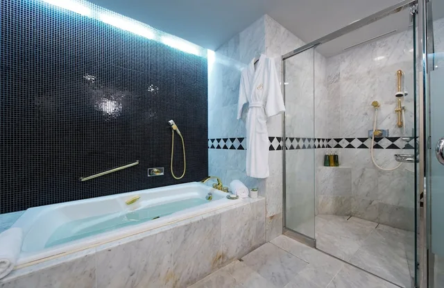 Style, King Bed، Urayasu Brighton Hotel Tokyo Bay 1/1