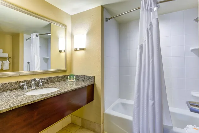 جناح بغرفة نوم واحدة، Holiday Inn Indianapolis North Carmel 3/3