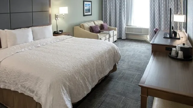 استوديو بسرير كينج، Hampton Inn Hartwell 1/1