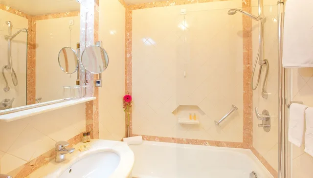 غرفة مفردة بشرفة، Sana Rex Hotel 5/5