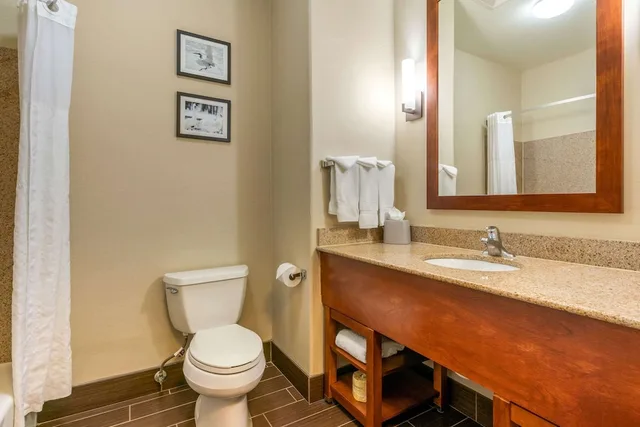 جناح مع أريكة، Comfort Inn & Suites Galt Lodi North 5/6