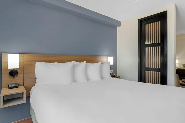 غرفة قياسية بسرير كينج مع أريكة، Hyatt Place Houston North 3/7