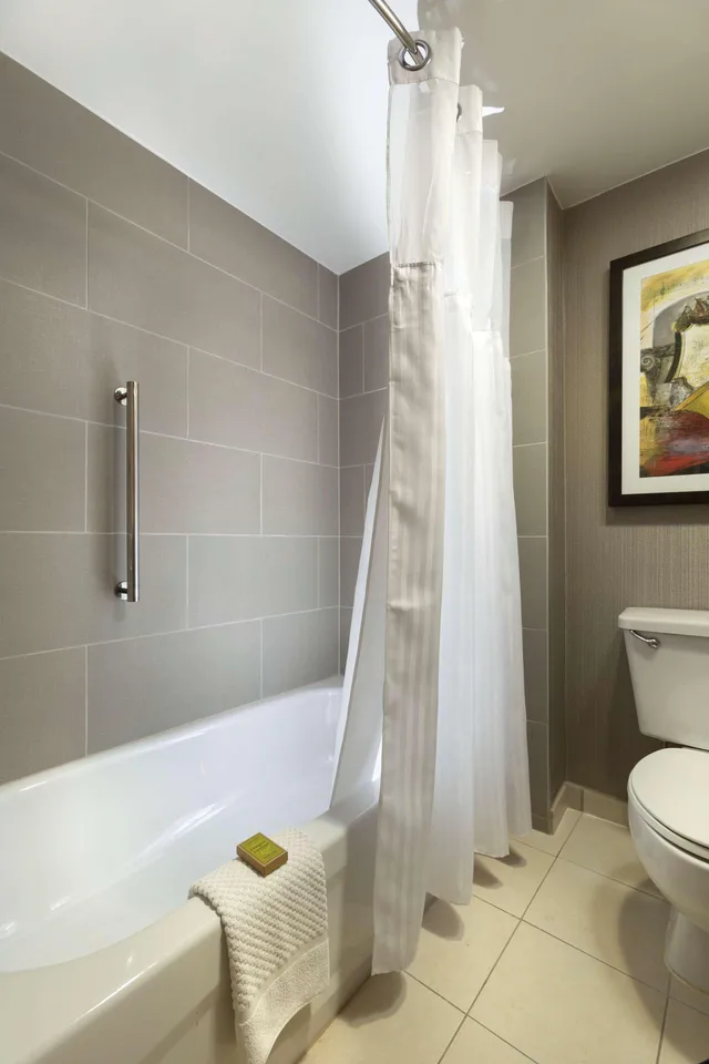 Conference, 2 Rooms, Style, Suite, King Bed، Doubletree Suites By Hilton Nashville Airport 2/2