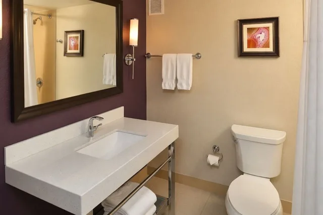 Room, King Bed, Allergy Friendly، DoubleTree by Hilton Orlando East - UCF Area 7/7