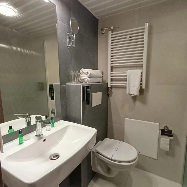 غرفة بسرير مزدوج أو سريرين منفصلين بإطلالة على البحيرة بشرفة، Metropol Hotel 6/10