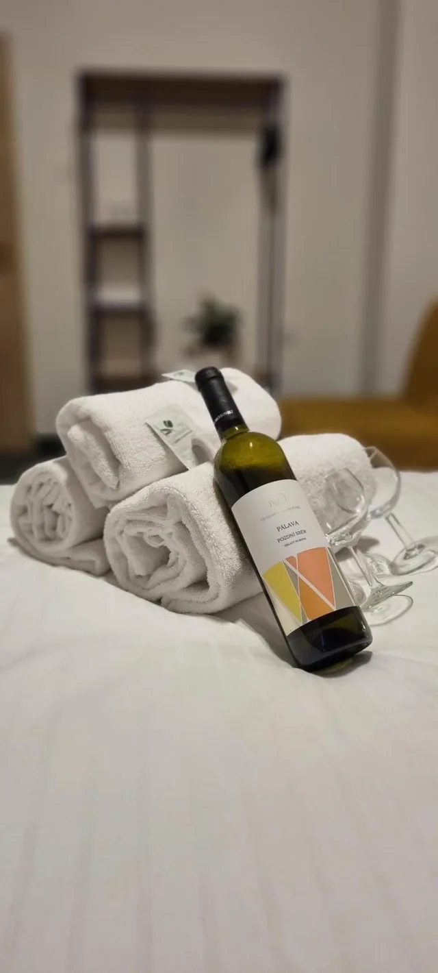 Komfort Double or Twin with AC، Legie Hotel 8/10