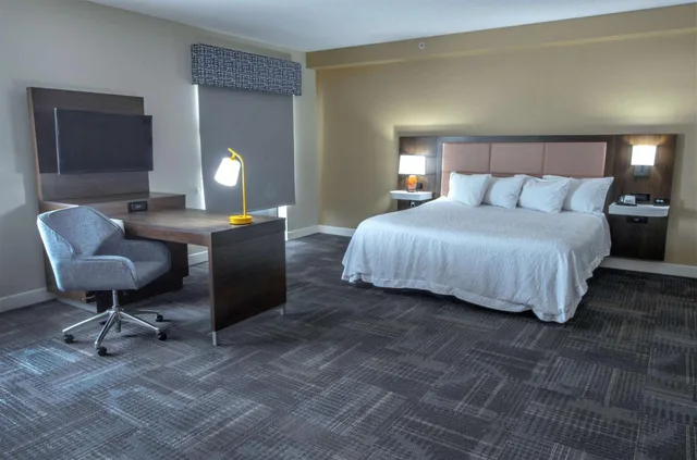 Studio, King Bed, Sofa, Accessible, Hampton Inn Suites Chesapeake Battlefield Boulevard 1/4