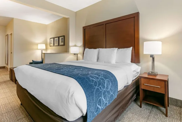 جناح بسرير كينج مع أريكة لذوي الإعاقة، Comfort Suites Batesville, AR 3/5