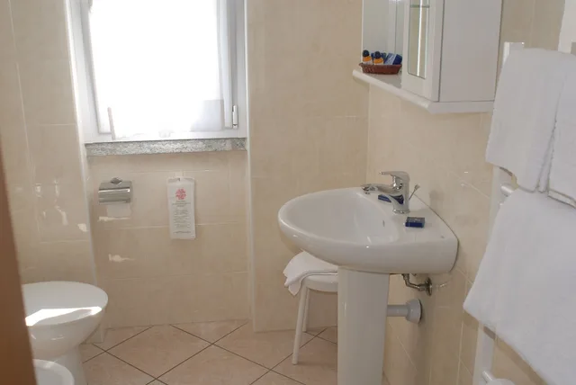 غرفة كومفورت بسريرين منفصلين بإطلالة على البحيرة، Hotel Regina 4/6