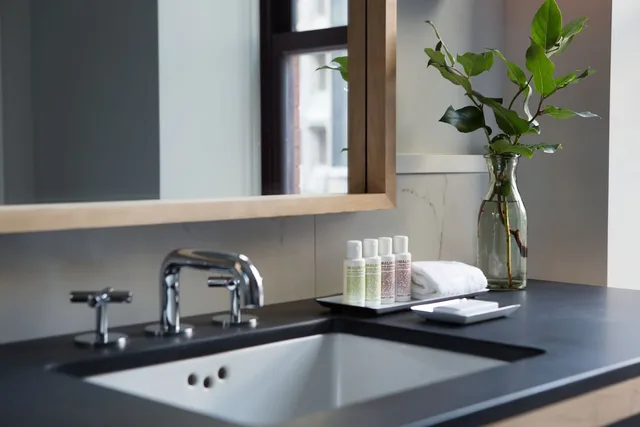 غرفة بريميوم بسرير كينج بحوض استحمام لذوي الإعاقة، The Kimpton Schofield Hotel 3/3