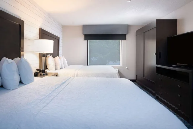 جناح بسرير كوين مع أريكة، Hampton Inn Durango Co 1/3