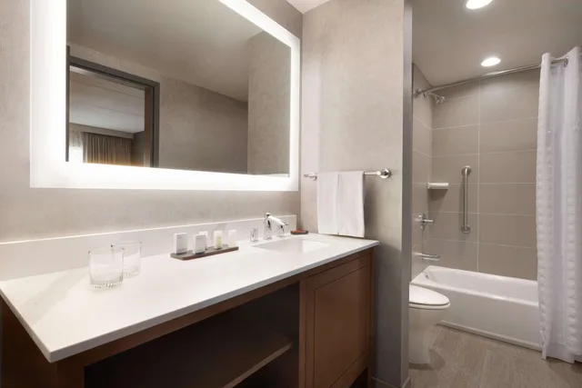 جناح بسريرين كوين لذوي الإعاقة، Embassy Suites By Hilton Chicago-Naperville 1/2