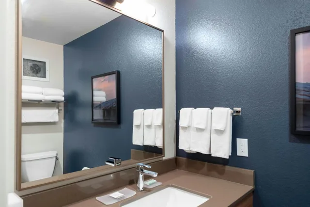 غرفة بسرير كينج بحوض استحمام لذوي الإعاقة، Fairfield Inn Suites Rapid City 3/3